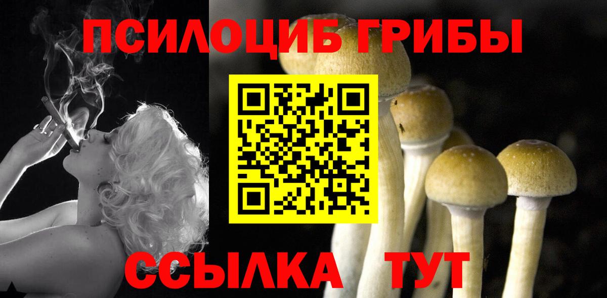 Мичуринск  Псилоцибиновые грибы MAGIC MUSHROOMS  Галлюциногенные грибы прущие грибы  Вход с VPN 