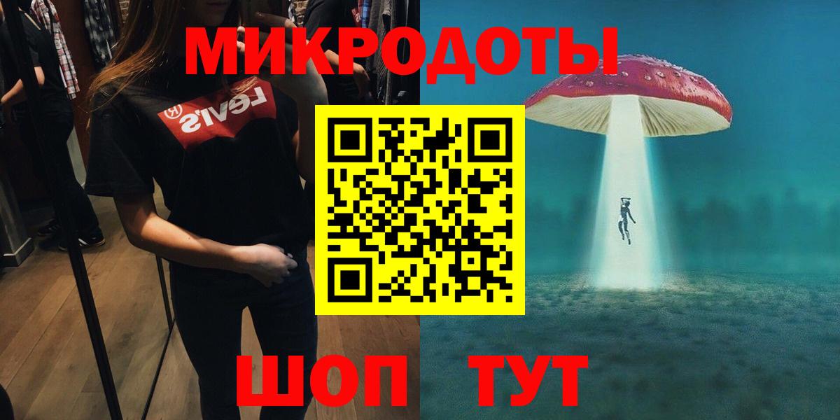 Галлюциногенные грибы Psilocybe Мичуринск